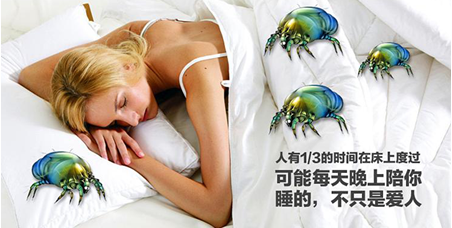 圖片關鍵詞